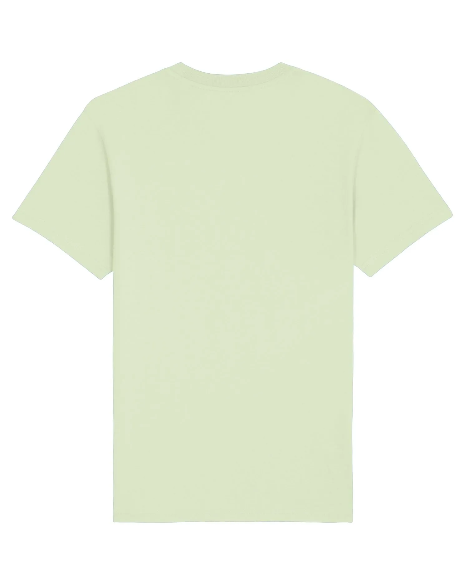 Classic Unisex Organic Cotton T-shirt - 150 G/M² | Rocker STTU758