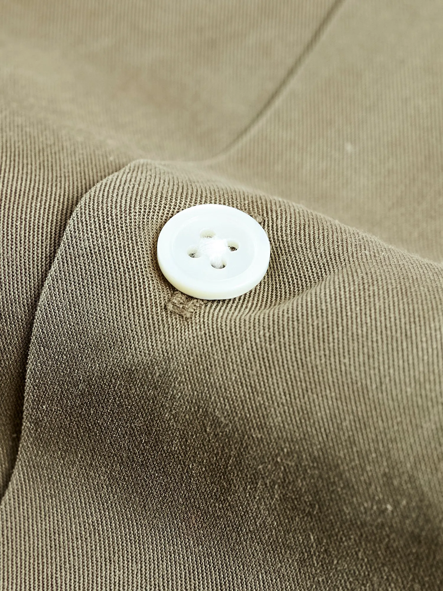 Dogtown Shirt in Olive