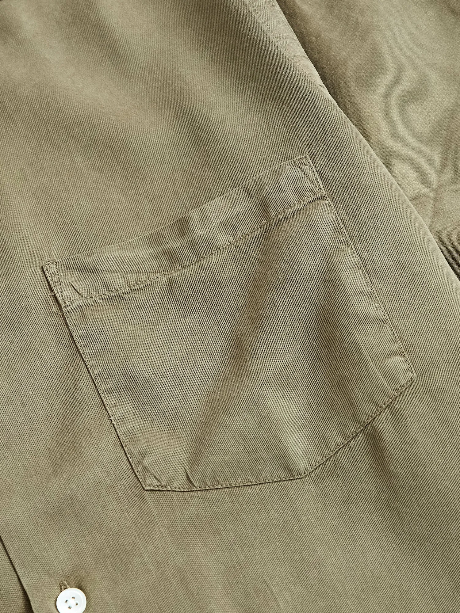 Dogtown Shirt in Olive