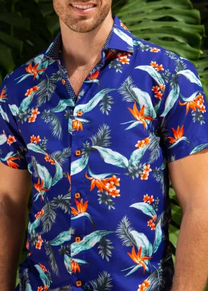 'It's All Sun And Games'