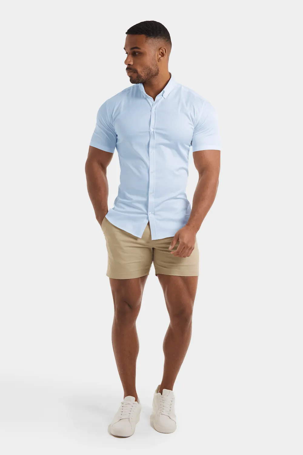 Muscle Fit Short Sleeve Signature Shirt in Blue