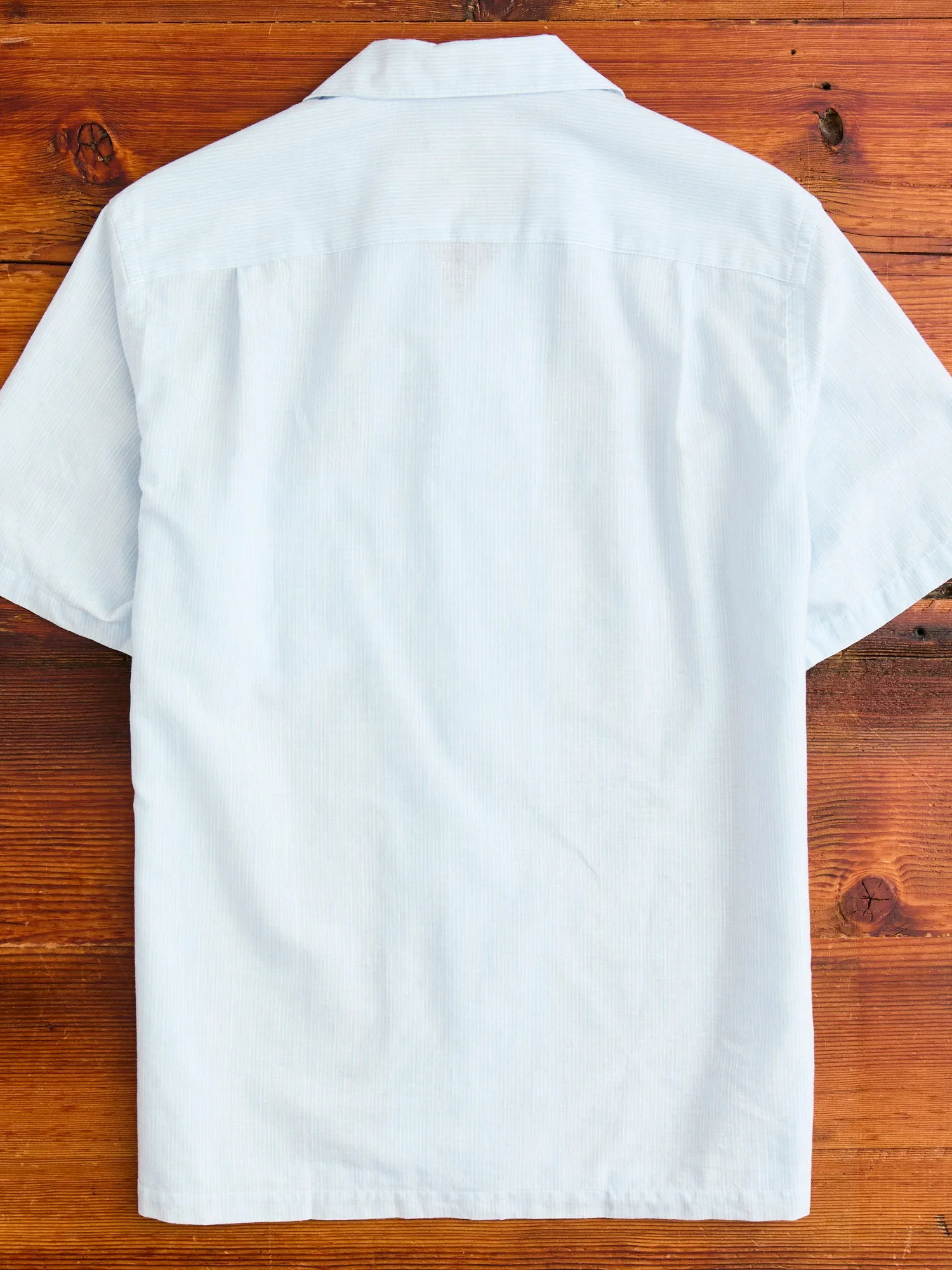 Summer Blend Button-Up Shirt in Sky