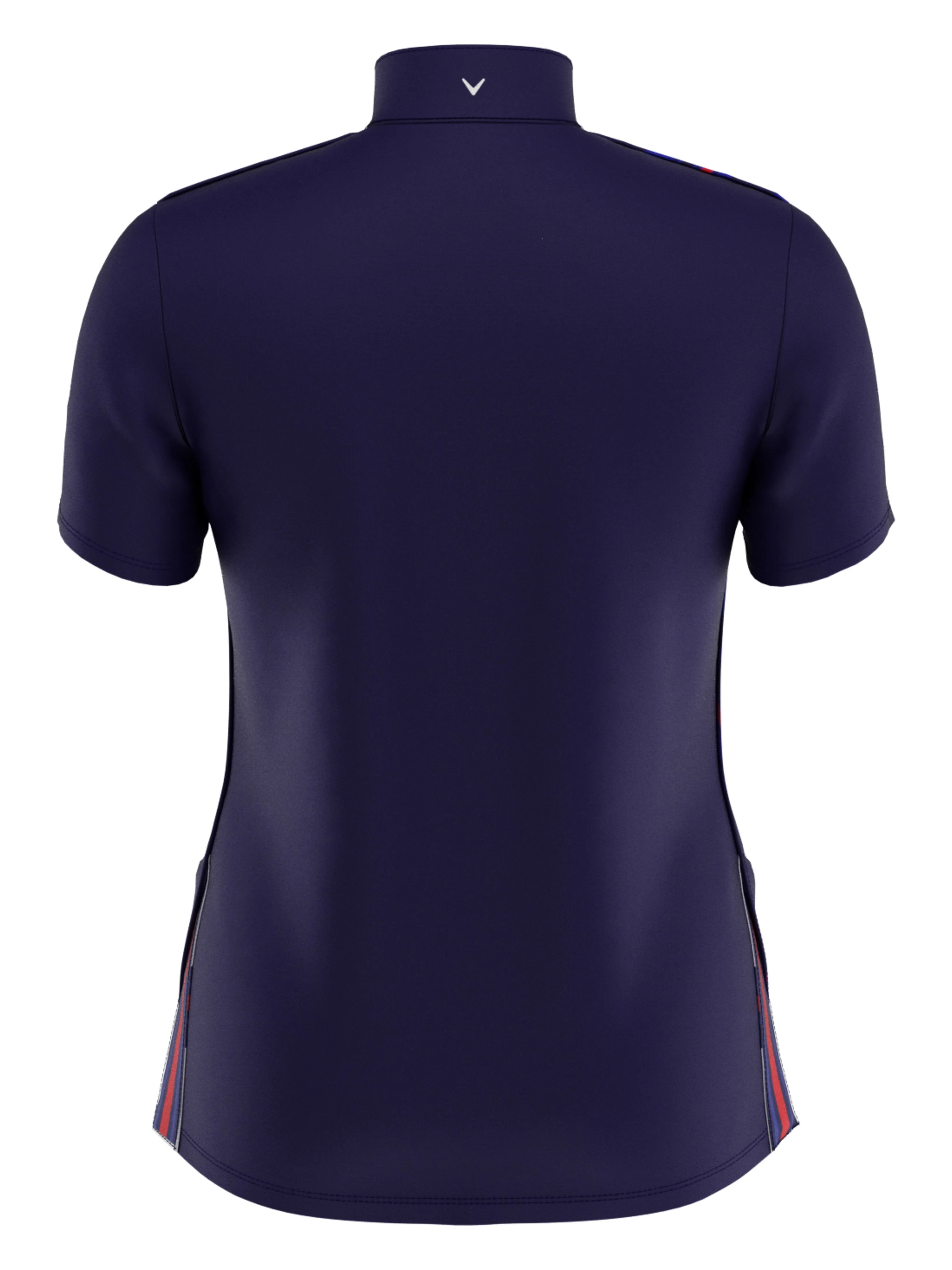 Womens Engineered Stripe Ski Line Print Polo